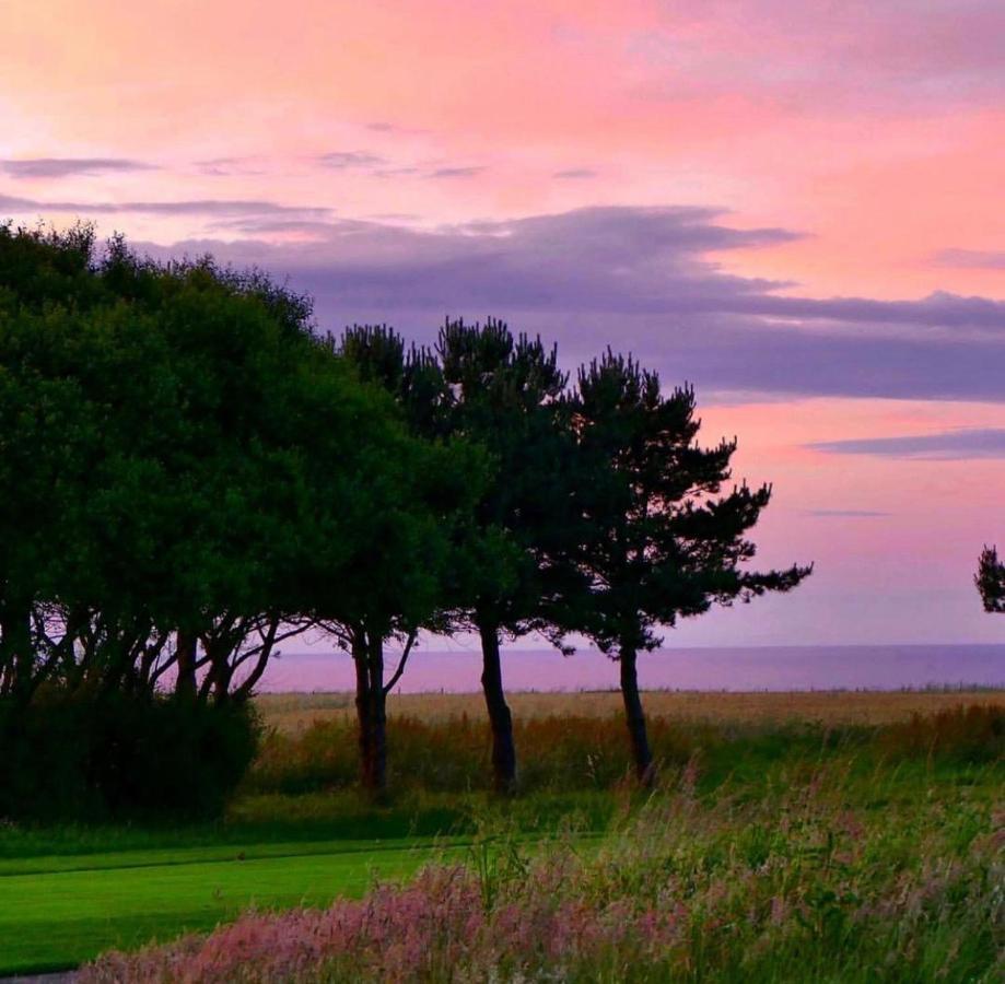 Normandy'S Green By The Sea Port-en-Bessin-Huppain Buitenkant foto